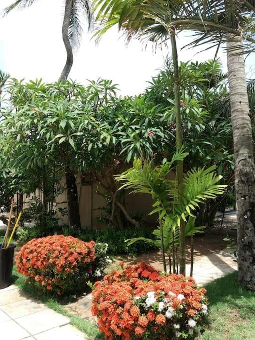 Eco Paradise Cumbuco 131 المظهر الخارجي الصورة